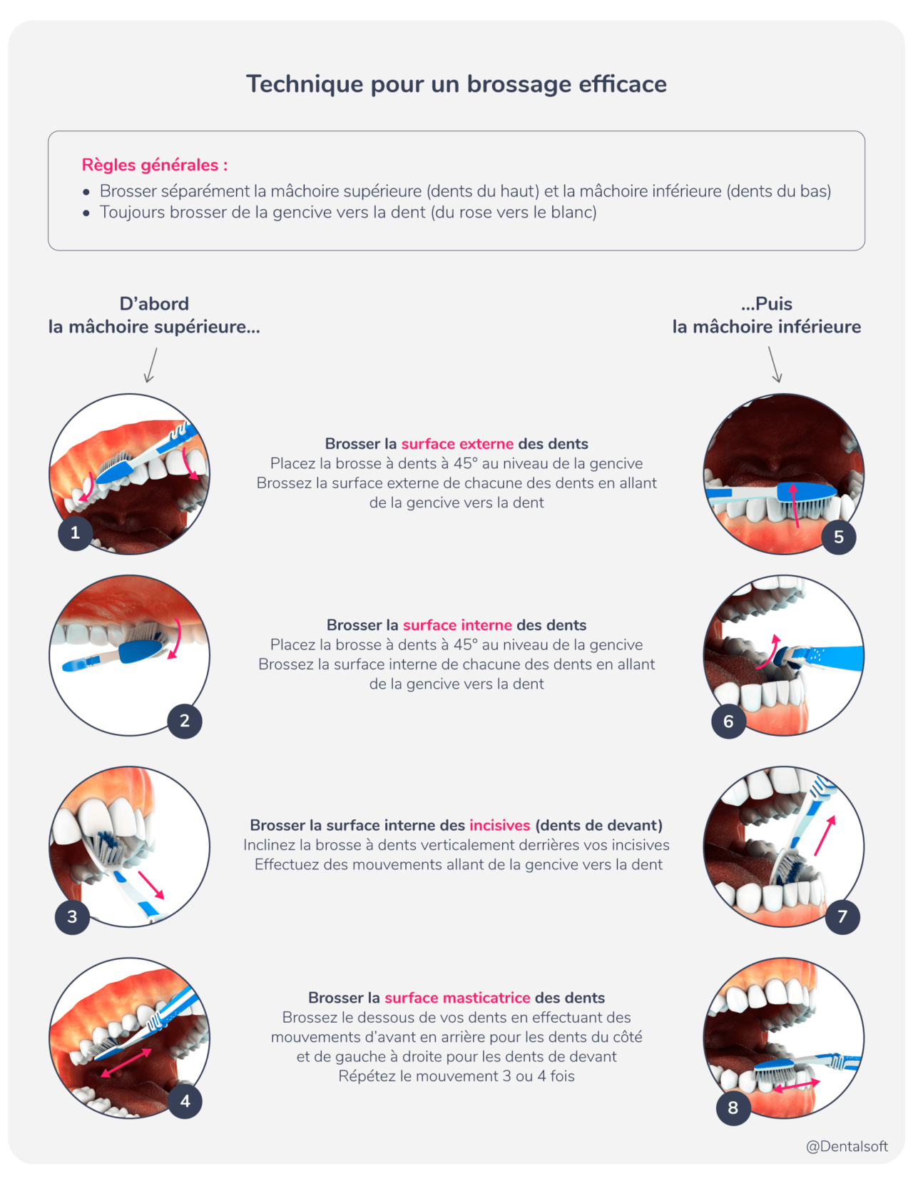 Méthode de brossage DR FEJES RALUY IMOLA